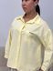 Basic cotton shirt